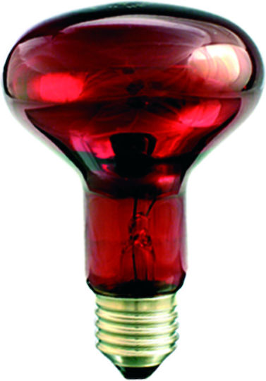 Helios Halogen Lamp for Socket E27 with Power 100W 230V