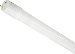 Bemko LED Bulb for Socket G13 Natural White Bemko LED Bulb for Socket G13 Natural White