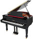 Thomann Acoustic Piano with Tail GP 160 with 88...