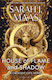 House of Flame And Shadow (Hardcover)