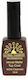 Global Fashion Top Coat για Απλά Βερνίκια Matte 12ml