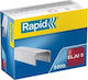 Rapid 31070513 Heftklammern