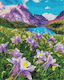 Twoje Hobby Καμβάς Diamond Painting Κιτ