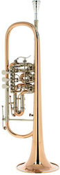 Cerveny Ctr 701r Bb-trumpet Τρομπέτα