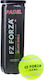 Fz Forza Game Μπαλάκια Padel για Τουρνουά 3τμχ
