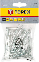 Topex Nituri Aluminiu M4x12.5mm 50buc