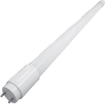 Eurolamp LED Lampen für Fassung T8 Warmes Weiß 1Stück
