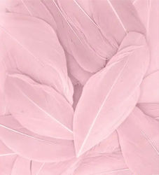Artemio Wing Craft Pink