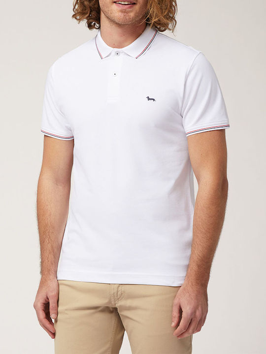 Harmont & Blaine Ανδρικό T-shirt Κοντομάνικο Polo White