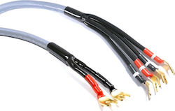 Melodika 2x Spade - 2x Spade 3.5m