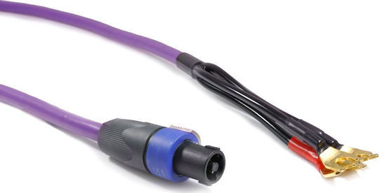 Melodika Καλώδιο Ηχείου 2x Spade - Speakon male 1m