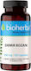 Bioherba Demir Bozan 240мг 100 капси