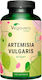 Vegavero Artemisia Vulgaris Extract 180 капси
