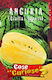 Σπόροι Καρπουζιού Citrullus Lanatus 0.5gr