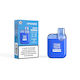 Steam Train Disposable Electronic Cigarette 600 Puffs Blueberry Ice 20mg