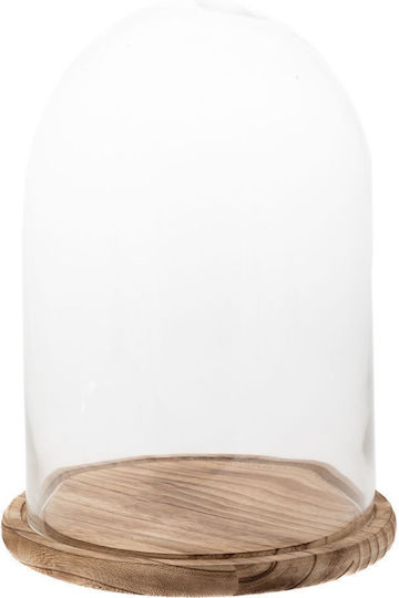 Iliadis 84976 Glas Kuchenteller