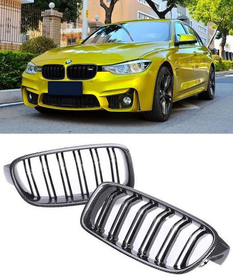 Carner Dekorative Auto Maske BMW Serie 3 / F30 / M4