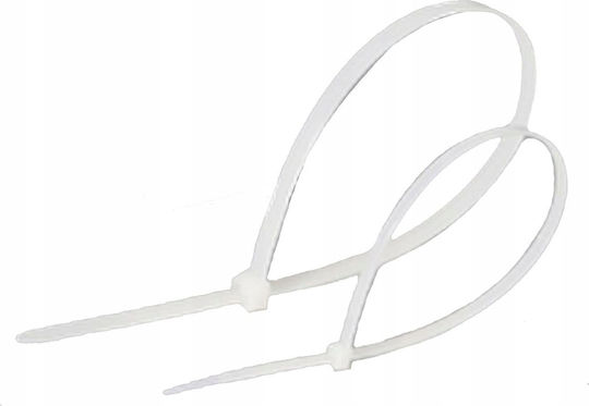 Lanview Δεματικά Καλωδίων Πλαστικά 60mmx2.5mm σε Λευκό χρώμα (100τμχ) (LVT551010)