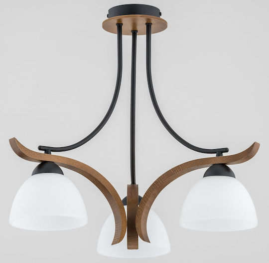 Alfa Pendant Light Black