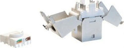 Procab Keystone VCK526/S 1 Stück Procab Keystone VCK526/S 1 Stück