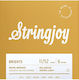 Stringjoy Single 80/20 Bronze Acoustic Guitar String