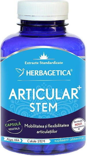 Articular+ Stem 120 Capsule pe Bază de Plante