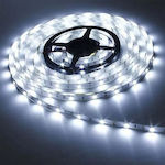 Osper LED Strip with Cold White Light Length 5m