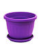 Viosarp Mediteran Topf Kunststoff Purple