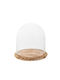 Iliadis Cake Stand Transparent 25x25x29cm