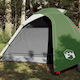 vidaXL Sommer Campingzelt Grüne mit Doppeltuch für 2 Personen 210x195x120cm