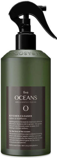Five Oceans Spray de Curățare Unsoare 500ml 1buc