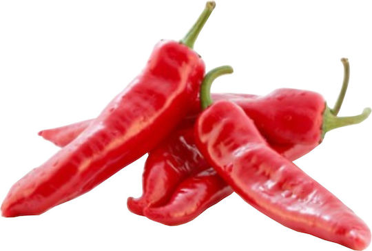 Agrosem Samen Paprika Florina