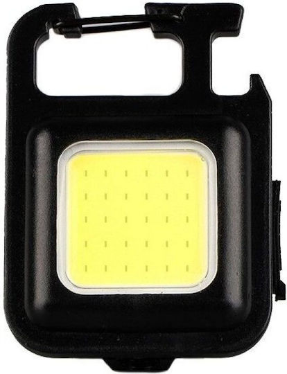 Entac Rechargeable Keychain Flashlight LED IP54 with Maximum Brightness 300lm Black