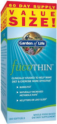Garden Of Life Fucothin 180 Capsule Moi Garden Of Life Fucothin 180 Capsule Moi