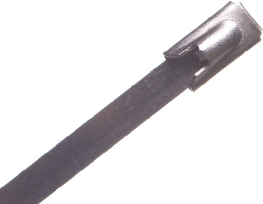 Lapp Group Kabelbinder 680x4.6mm Gray 1pcs 61812980