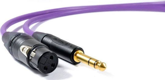 Melodika Cable XLR female - 6.3mm male Μωβ 6m