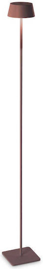 Ideal Lux Pt LED Floor Lamp H115xW14cm. with Warm White Light 230lm Brown