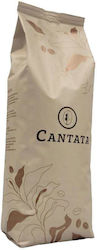 Cantata Filter Tropical Cheesecake Bean Beans 1kg Cantata Filter Tropical Cheesecake Bean Beans 1kg
