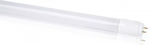 Evivak Fluorescent Lamp with Shape T8 22W