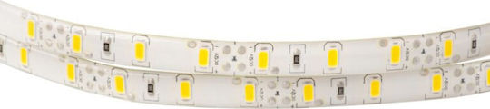 Eco Light Bandă LED 12V 5m