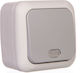 Viko Waterproof Wall Switch Lighting with Frame Gray
