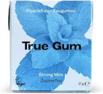 True Gum Chewing gum No Added Sugar 1pcs 21gr