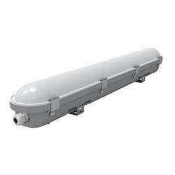 Eurolamp 5666
