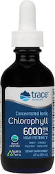 Trace Minerals Концентриран Йонен Хлорофил 59мл Trace Minerals Концентриран Йонен Хлорофил 59мл