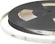 Cubalux Ταινία LED Jazz 24V 15m