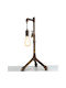 Fan Europe Decorative Table Lamp Amarcord E27 41x30cm