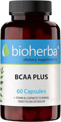 Bioherba Βcaa Plus 60 Capsule Bioherba Βcaa Plus 60 Capsule