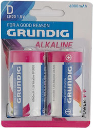Grundig D 1.5V 2τμχ GRUN-ALKR20/2