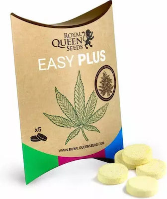 Royal Queen Seeds Samen Cannabisς