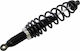 Moose Utility Division Hinten